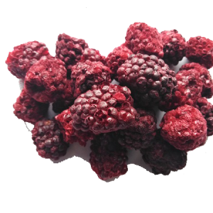 Jeżyna liofilizowana